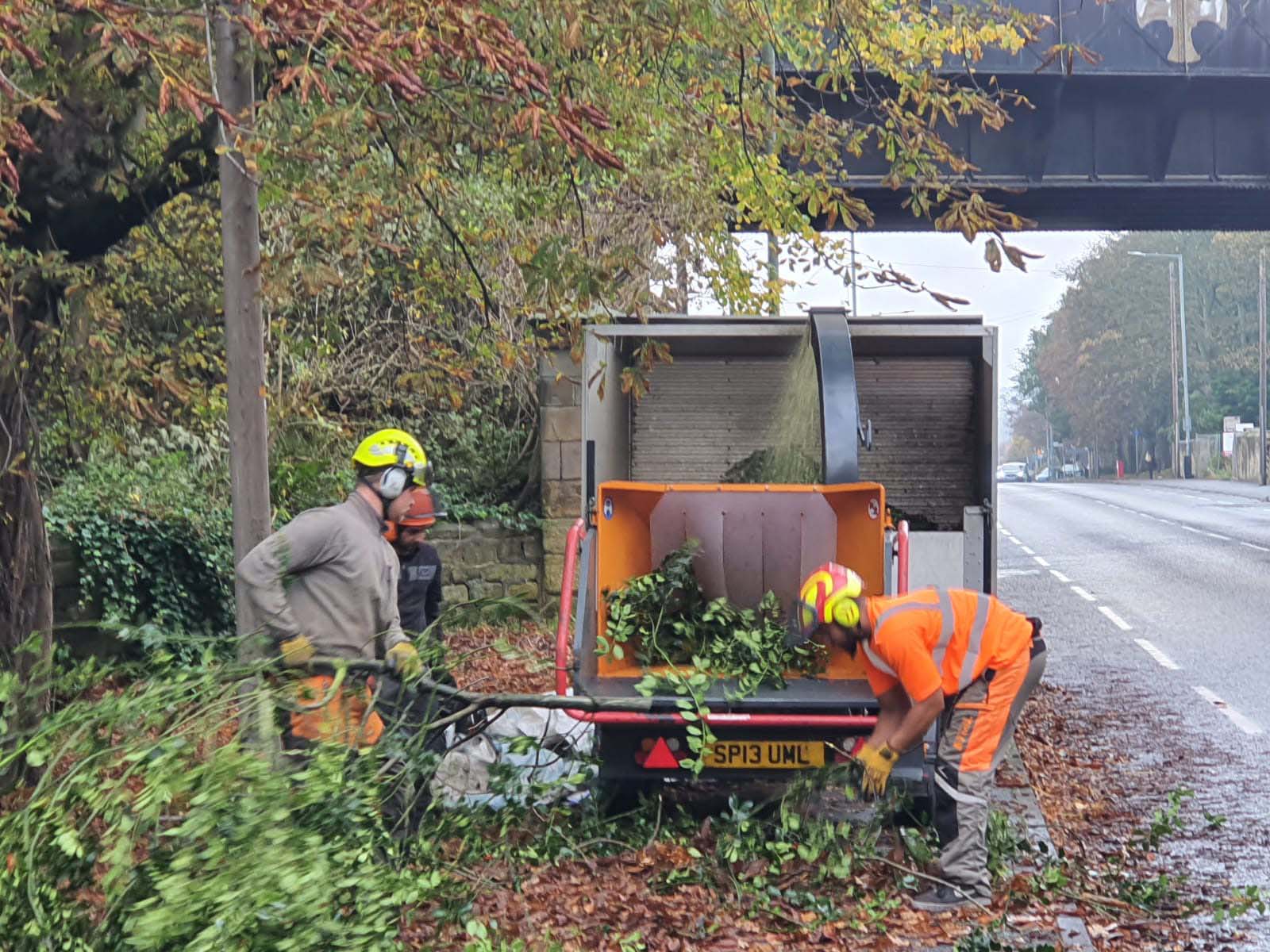 Tree work